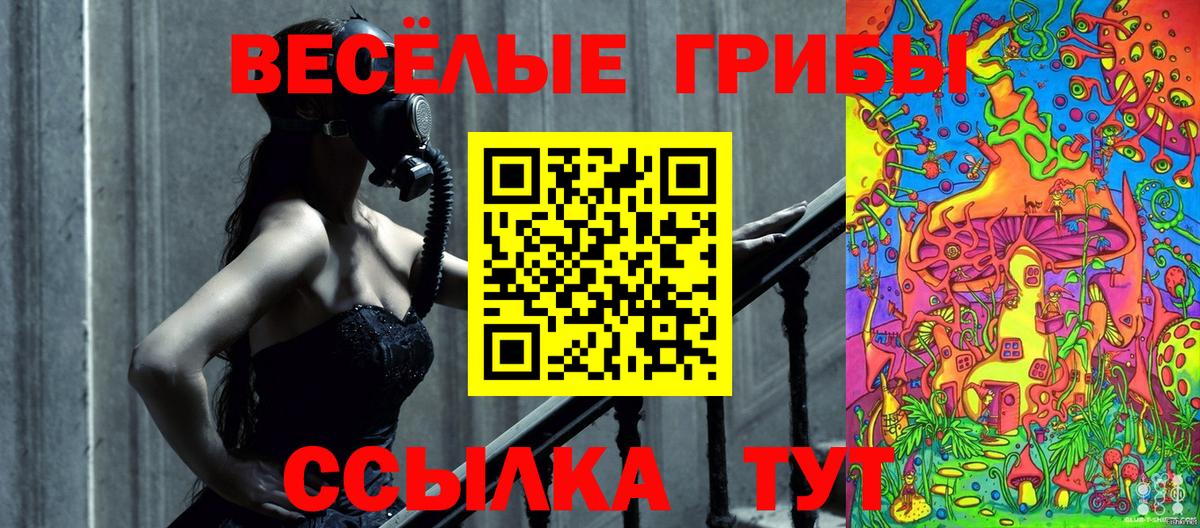 Псилоцибиновые грибы GOLDEN TEACHER Домодедово